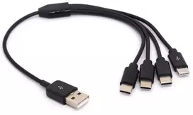 4-in-1 Usb-c įkrovimo ir duomenų kabelis (30cm)
