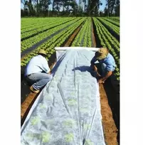 F&r pavasarinė dengiamoji balta agroplėvelė 21 g/m² 1,6x20 m