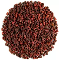 Organinės sėklos Annatto prieskonis - Annatto sėklos - Anatto sėklos - Annatto krūmas - Orleano krūmas - Rukustrauch Annatto Annatto sėklos Anato sėklos