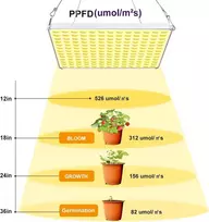 LED augalų auginimo lempa Roleadro 1000 W
