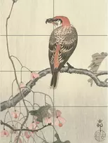 Artery8 Ohara Koson Crossbill ant šakos plakatas (8 dalys) kryžius medis japoniškas xl didelis