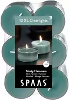 Spaas 12 maxi kvapnios skaidrios žvakutės, arbatinės žvakutės su skaidriu laikikliu, ± 8 val. - Minty Hammam, smaragdo žalumo