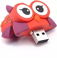 Hsthe Sea Usb atmintinė, 32g animacinis mielas raštas Usb 2.0 didelės spartos atminties kortelė, nešiojamas diskas duomenų saugojimui (pelėda)