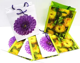 Capiso 8 vnt. vidutinio dydžio dovanų maišelių su tvirta virvele 23 cm x 18 cm x 10 cm, dovanų maišeliai su rankena, vakarėlių maišeliai, spalvingi maišeliai, kraft popieriniai maišeliai, gėlės