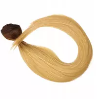 Sintetiniai plaukai priauginimui ant juostos Straight 200g 70cm |tt-linen55|