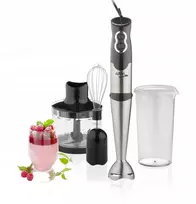 Rankinis blenderis su smulkinimo ir plakimo indu Eco 500w Gallet Mix435