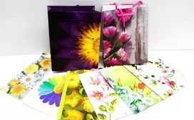 Capiso 8 vidutinio dydžio dovanų maišelių rinkinys su tvirta virvele 23 cm x 18 cm x 10 cm, dovanų maišeliai su rankena, vakarėlių maišeliai, spalvingi maišeliai, kraft popieriniai maišeliai