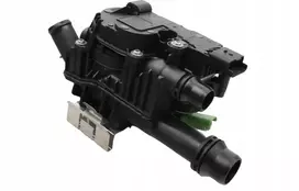Termostatas citroen 1.6 mėlynas hdi c3 c4 picasso cactus jumpy berlingo ds3 ds4