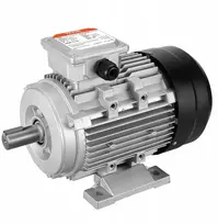 Vevor Elektrinis variklis 3000 aps/min 2 Ag 300x175x215mm 3 fazių B3 rėmas