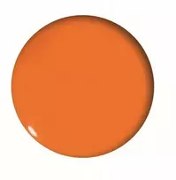 Tetis magnetai lentoms oranžiniai veidukai 20 mm 6 vnt.