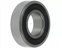 Generatoriaus guolis Fiat 055.000.217.940 (skf)