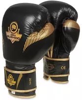 Bokso pirštinės sparingui treniruotėms natūrali oda Dbx Bushido 10 oz