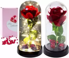 Amžina rožė kupole 21cm apšviesta Led, šviečia kaip išskirtinė dovana