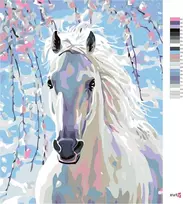 Zuty 1082221 paveikslas pagal skaičius baltas arklys 40 x 50 cm su porėmiu (iš anksto įtemptas) įrėmintas