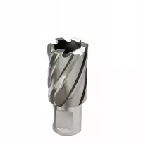 Žiedinė freza 33,0/30mm vamzdinis grąžtas 33mm Weldon Hss Bmm Tools