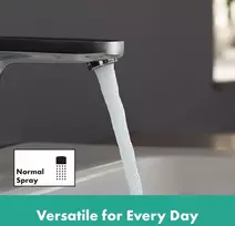 Hansgrohe Vernis Blend praustuvo maišytuvas su 100 mm snapo aukščiu, su traukimo strypu, vandens taupymo įranga, chromas