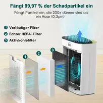 Jafända oro valytuvas Hepa 13, skirtas alergiškiems žmonėms, kambario oro valytuvas su aromaterapiniu difuzoriumi ir aktyvintos anglies filtru, pašalina 99,97% pelėsių, dulkių, žiedadulkių, oro valytuvas Cadr 268 m³/h (auksinis)