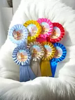 Kotiljonas hobby horse Flo Flots varžyboms hobby horse