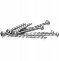 Nerūdyjančio plieno medvaržčiai 5x60mm Torx A2 (10 vnt.)