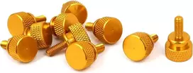 Kompiuterio varžtai M4x10mm su galvute, 10 vnt., aukso spalvos