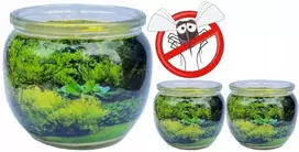 Lothantique 3 x žvakė nuo uodų ir vabzdžių Citronella