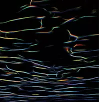 Vinilinė plokštelė Biokinetics (2lp) [vinyl Lp]