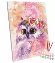 Creart Paveikslas tapyba pagal numerius ant rėmo, rėmas pelėda, pelėdžiukas 40x50 cm