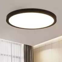 ZMH Led Lubinis Šviestuvas 30cm Juodas 24w 3000k Vonios, Virtuvės, Miegamojo