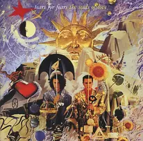Vinilinė plokštelė The Seeds Of Love (dig. Remastered)