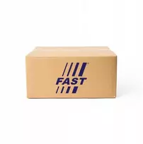 Šoniniai gabaritiniai žibintai Fast Ft87367