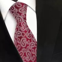 Tigertie Dizaineriškas šilkinis kaklaraištis raudonas blizgus raudonas sidabrinis paisley kaklaraištis šilkas, raudonas