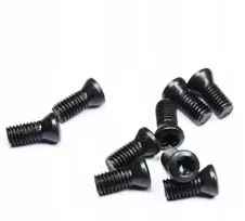 Ralmetal Varžtas daugiaašmenėms plokštelėms tvirtinti M5x8 mm Torx T20 12.9