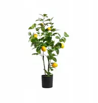 Dirbtinis augalas Citrus su citrinomis 75 cm Homla