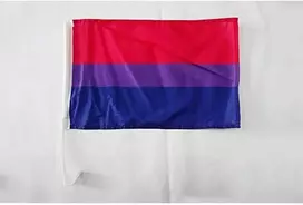 Az Flag - biseksualų vėliavėlė automobiliui - 45 x 30 cm - biseksualumo vėliavėlė automobiliui 30 x 45 cm - vėliavėlės automobiliams