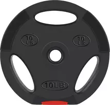 Signature Fitness vinilinės standartinės 1" svorio plokštės jėgos treniruotėms ir sunkumų kilnojimui, 4,5kg pora