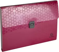 Exacompta Maïa 58410e perdirbti segtuvai su plastikiniu užsegimu, skirti Din A4 formatui, su skirtukais ir organizatoriumi, 2 užtraukiamomis kišenėmis ir rašiklio laikikliu, konferencinis segtuvas, 1 vnt., atsitiktinė spalva