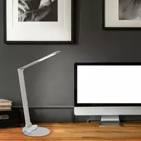 Led stalinė lempa su lietimu, reguliuojama šviesa, 83cm, sidabrinė