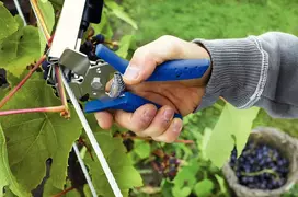 Rapid 40107761 C85 6–20 mm plieniniai žiedai (5000 vnt. dėžutė)
