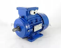 Trifazis elektros variklis 0,12kw 1320 aps/min B3