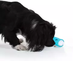 Edupet Amigo interaktyvus žaislas-maisto dozatorius šunims Dog-n-roll, 10 cm