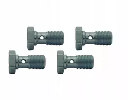 4x Varžtas su skyle - perteklinis - banjo - M10x1 kilpoms - cinkuotas; Sr-02