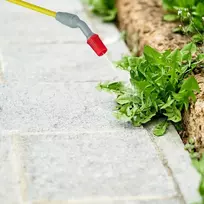 Relaxdays slėginis purkštuvas 5l laistymui ir augalų apsaugai, reguliuojamas antgalis ir nešiojimo dirželis, purkštuvas, baltas/juodas