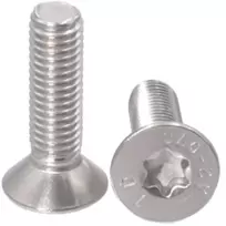 Nerūdijančio plieno varžtas M6x20 su Torx galvute ir saugos skylute (10 vnt.)