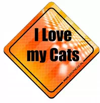 Orange Atšvaitinis magnetas I love my cats oranžinis, matomas ant automobilio