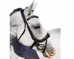 Anatominis žąslas Balotade Andiamo Pony, rudas, auksinis
