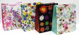 Capiso 4 didelių dizaino dovanų maišelių pakuotė su tvirta virvele 32 cm x 26 cm x 12 cm dovanų maišeliai nešiojamas maišelis su rankena spalvingi maišeliai kraft popieriniai maišeliai