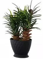 Dirbtinė palmė Areka vazone, aukštis 24 cm