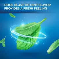 Dantų šepetėlis Oral B Mint Satin Floss dantų siūlas, 25 m
