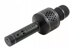 Technaxx Bluetooth belaidis mikrofonas Musicman Karaoke Pro Bt-x35 juodas Mp3iwav