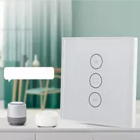Wifi jutiklinis stiklinis roletų jungiklis, Smart Life